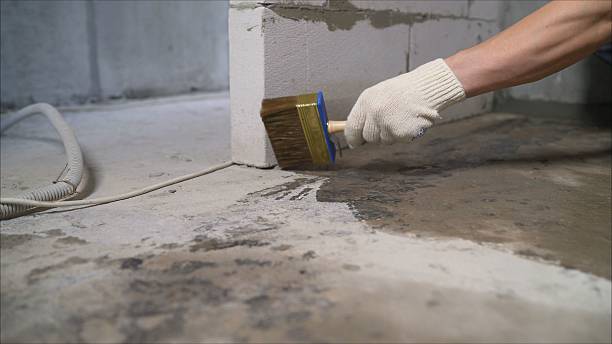 24/7 Emergency Basement Waterproofing experts in Allegan, MI